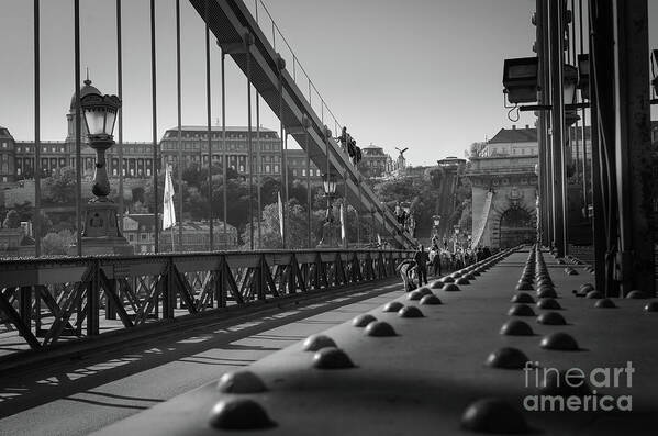 Chain Art Print featuring the photograph The Chain Bridge, Danube Budapest by Perry Rodriguez