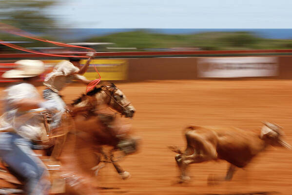 Poipu Rodeo Art Print featuring the photograph The Chase by Roger Mullenhour