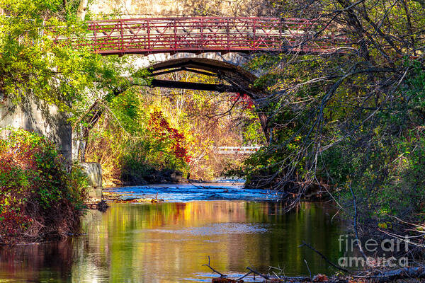Bill Norton Art Print featuring the photograph The Creek by William Norton