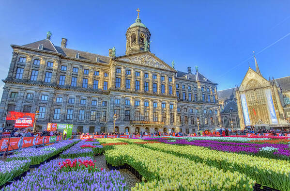 Amsterdam Art Print featuring the photograph the Dam Tulips by Nadia Sanowar