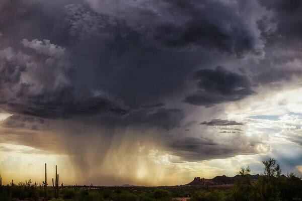 Arizona Art Print featuring the photograph The Day it Rained by Rick Furmanek