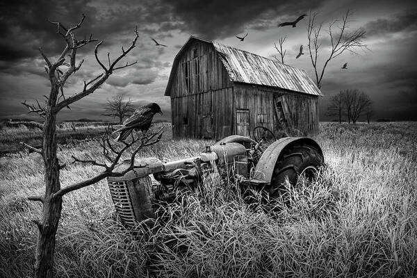 Art Art Print featuring the photograph The Decline and Death of the Small Farm in Black and White by Randall Nyhof