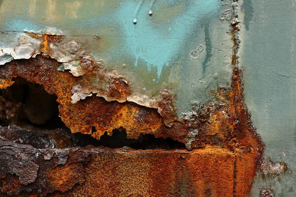 Rust Art Print featuring the photograph The Dragon's Snarl by Kreddible Trout