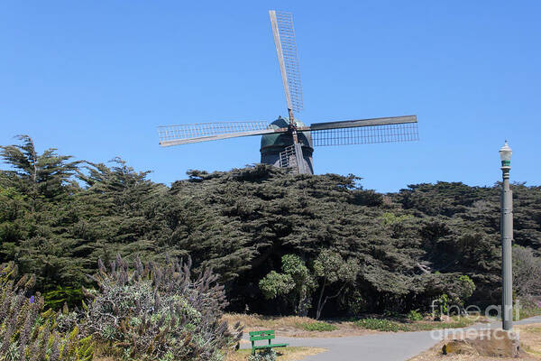 Wingsdomain Art Print featuring the photograph The Dutch Windmill San Francisco Golden Gate Park San Francisco California 5D3256 by San Francisco