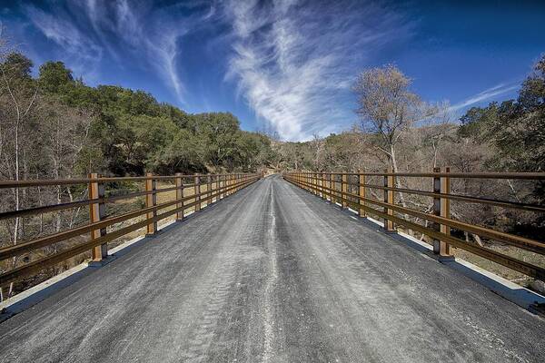 Bridge Art Print featuring the photograph The Endless Bridge by Robin Mayoff