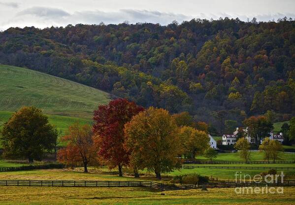 Fall Colors Art Print featuring the photograph The Estate's Autumnal by Tracy Rice Frame Of Mind