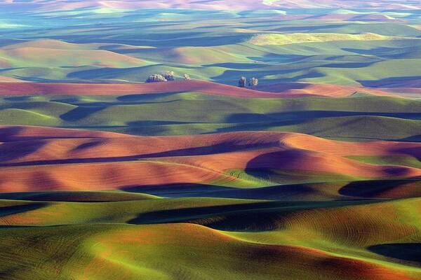 The Ethereal Palouse Art Print featuring the photograph The Ethereal Palouse by Lynn Hopwood