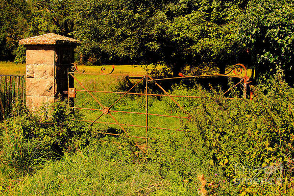 Gates Art Print featuring the photograph The Gate at Pandy by Richard Denyer