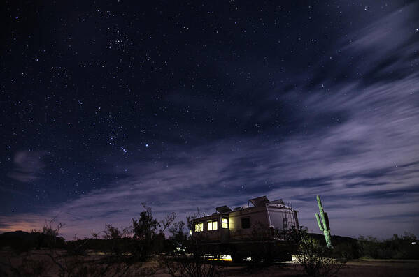 Arizona Art Print featuring the photograph The General by Margaret Pitcher