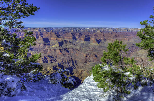 Landscape Art Print featuring the photograph The Grand Canyon by Harry B Brown