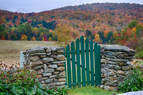 #jefffolger Art Print featuring the photograph The green door in autumn by Jeff Folger