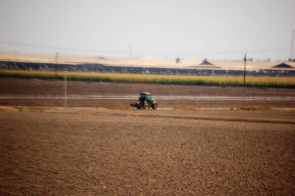 Tractor Art Print featuring the photograph The green Tractor by Maria Aduke Alabi