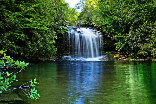 Appalachia Art Print featuring the photograph The Greens of Summer at the Falls by Debra and Dave Vanderlaan