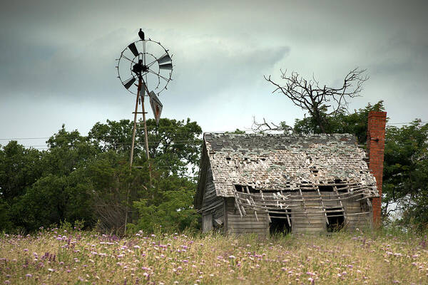 Rural Art Print featuring the photograph The Guardian by Mike Irwin