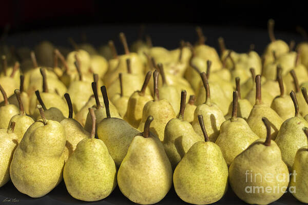 Agriculture Art Print featuring the photograph The Harvest Continues by Linda Lees