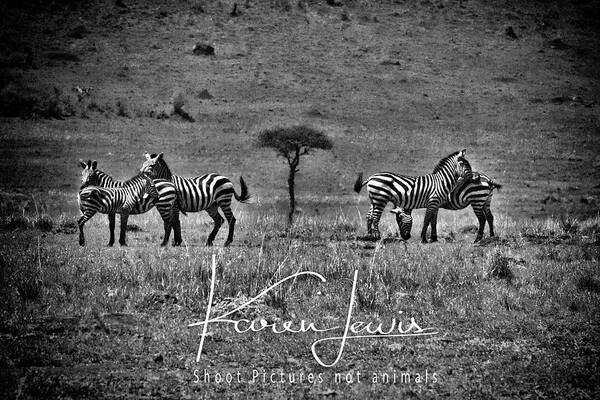 Masai Mara Art Print featuring the photograph The Herd by Karen Lewis