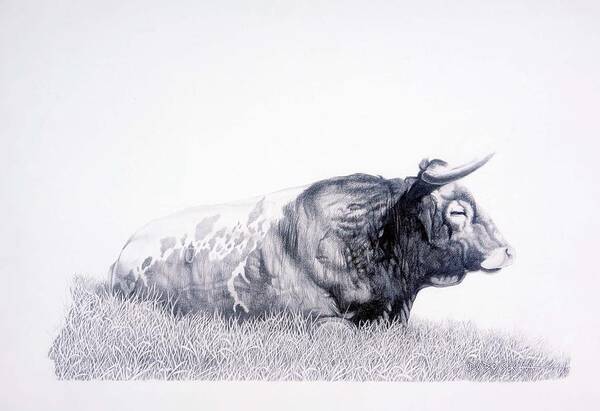 Longhorn Art Print featuring the drawing The Herdmaster by Howard Dubois