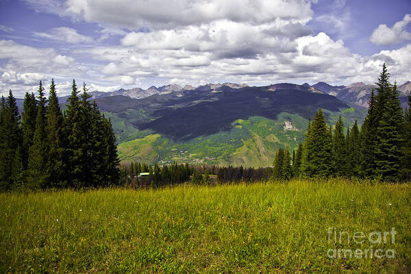 Trees Art Print featuring the photograph The Hills Are Alive in Vail by Madeline Ellis