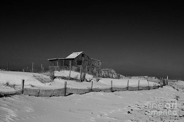 Paul Ward Art Print featuring the photograph The Judges Shack at Island Beach State Park by Paul Ward