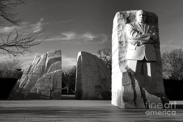 Martin Art Print featuring the photograph The Lone Leader by Olivier Le Queinec