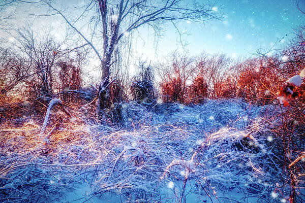 Magic Of Winter Art Print featuring the mixed media The Magic of Winter 2 by Lilia S