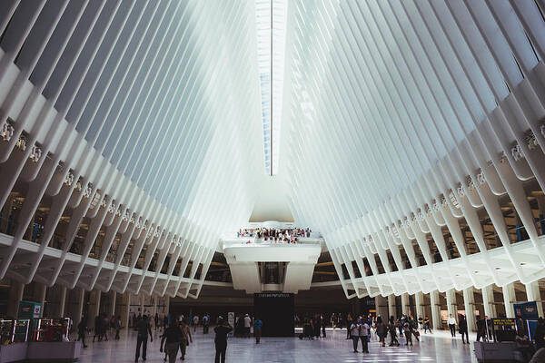 New York City Art Print featuring the photograph The Oculus by Liam Nielsenshultz