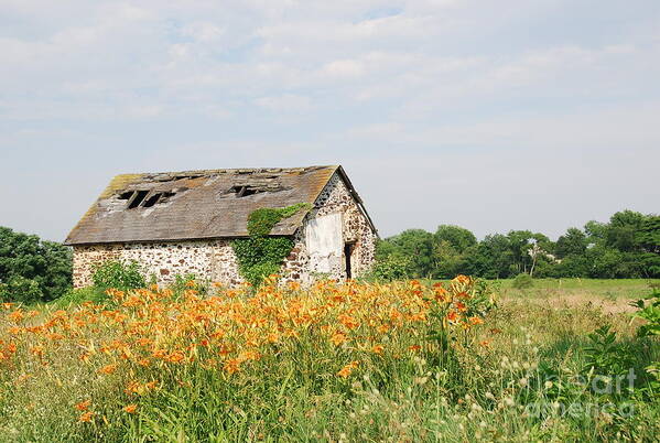 Barn Art Print featuring the photograph The Old Barn in Moorestown by Jan Daniels