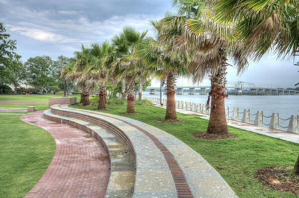 henry C. Chambers Art Print featuring the photograph The Palms of Water Front Park by Scott Hansen