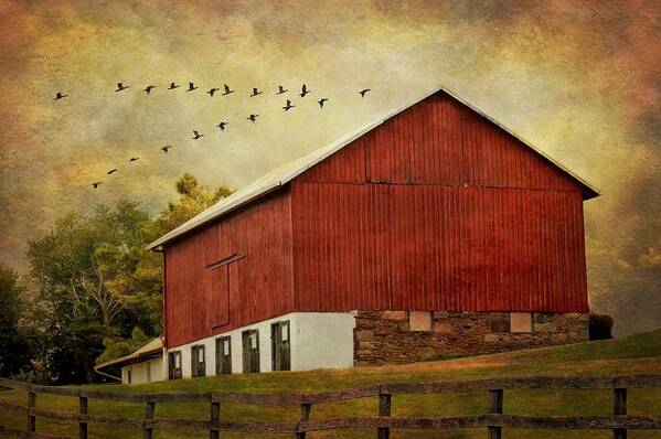 Barn Art Print featuring the mixed media The Red Barn by Fran J Scott
