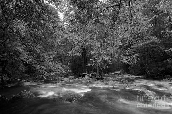 River Art Print featuring the photograph The River Forges On by Mike Eingle