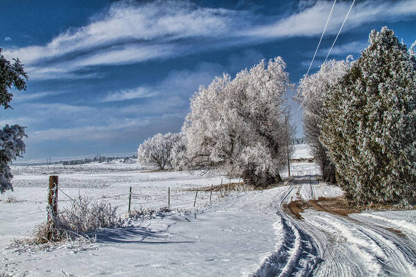 Winter Art Print featuring the photograph The Road Home by Alana Thrower