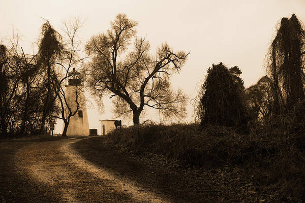 Black And White Art Print featuring the photograph The road to Turkey Point Lighthouse by Dennis Dame