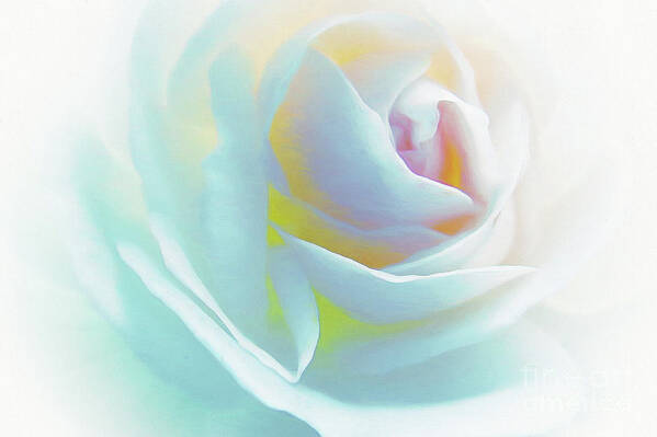Flowers-abstract Art Art Print featuring the photograph The Rose by Scott Cameron by Scott Cameron