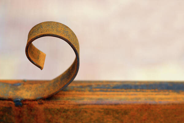 Minimal Art Print featuring the photograph The Rusted Curl Colored Version by Prakash Ghai