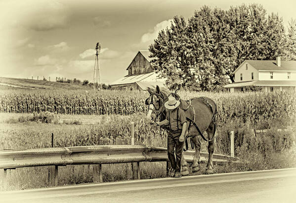 Pennsylvania Art Print featuring the photograph The Simple Life 3 Sepia by Steve Harrington