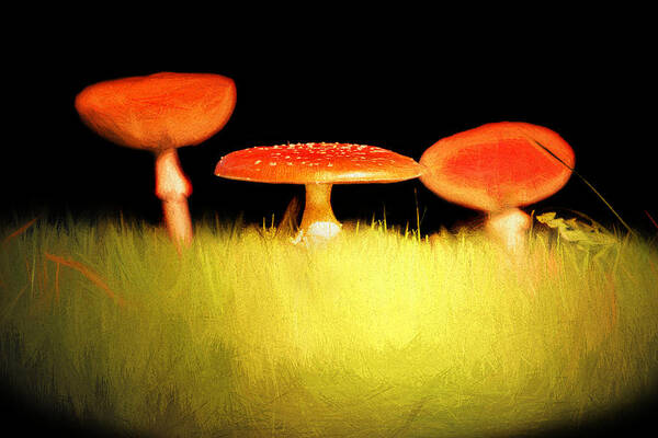 Toadstool Art Print featuring the photograph The Sisters by Jaroslav Buna