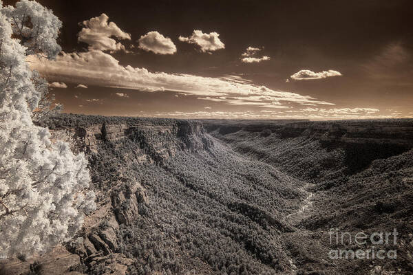 The Sky Tilts Down To The Canyon Art Print featuring the digital art The Sky Tilts Down to the Canyon by William Fields