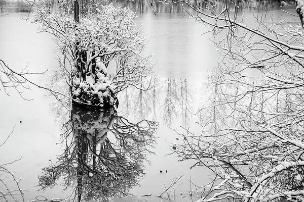 Stump Art Print featuring the photograph The Stump Too by Monte Arnold