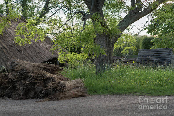 Thatched Art Print featuring the photograph The Thatched Roof, Great Dixter by Perry Rodriguez