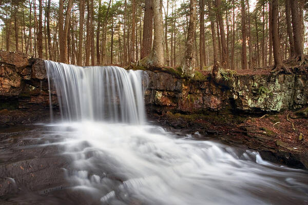 Stream Art Print featuring the photograph The Top of Dutchman Falls by Gene Walls