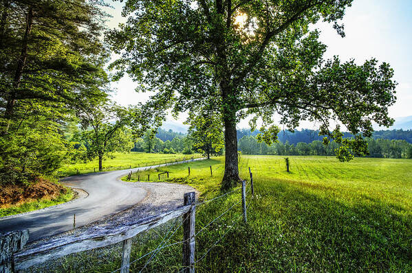 Appalachia Art Print featuring the photograph The Valley at Cades Cove by Debra and Dave Vanderlaan