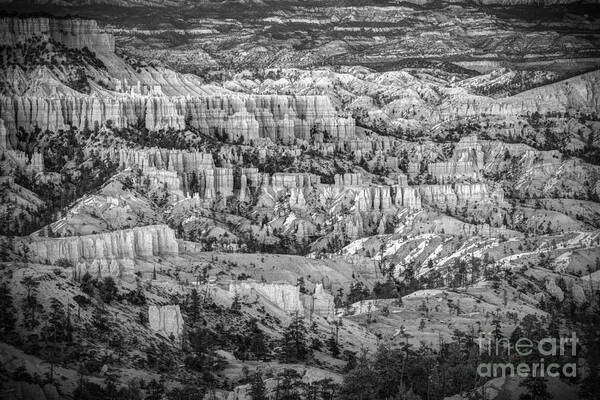 Bryce Art Print featuring the photograph The Vastitude Of Bryce by Jennifer Magallon