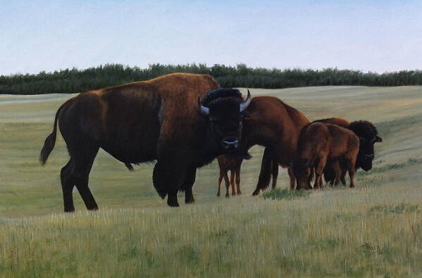 Bison Art Print featuring the painting The Watchman by Tammy Taylor