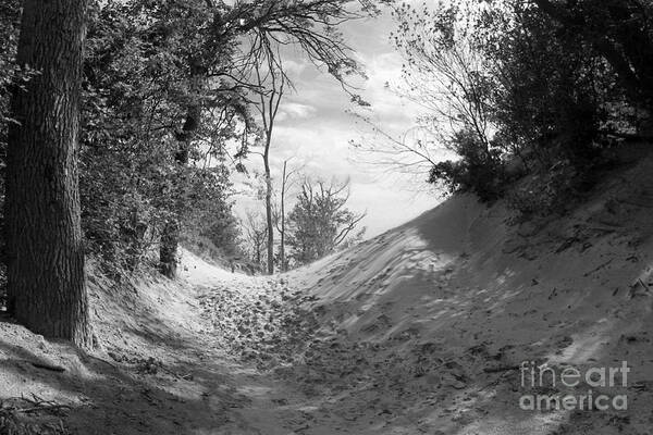 Black And White Art Print featuring the photograph The Windy Path by Cathy Beharriell