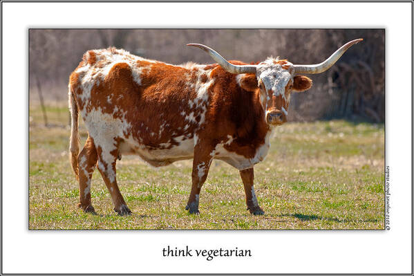 Animal Art Print featuring the photograph Think Vegetarian by Onyonet Photo Studios