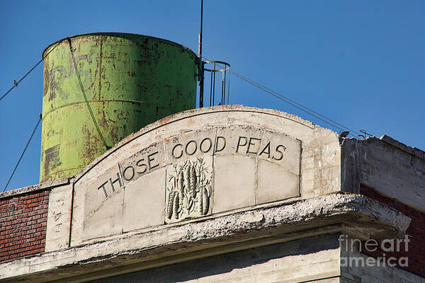 Those Good Peas Art Print featuring the photograph Those Good Peas by Priscilla Burgers