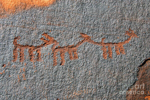 Petroglyphs Art Print featuring the photograph Three Deer by David Lee Thompson
