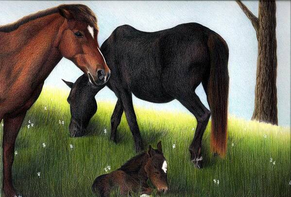 Horses Art Print featuring the drawing Three Horses by Danielle R T Haney