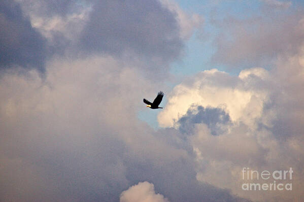 Photography Art Print featuring the photograph Through Stormy Skies by Sean Griffin