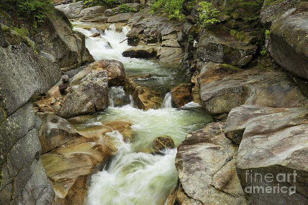 River Art Print featuring the photograph Through the Rocks by Alana Ranney